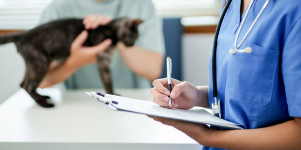 istockphoto 2164904082 612x612