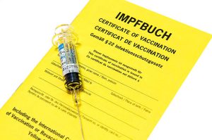 impfpass ein deutsches gelbes impfbuch