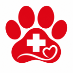 first aid logo v1